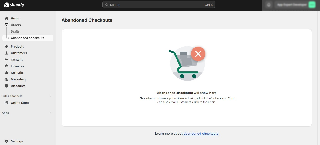 Abandoned Checkouts