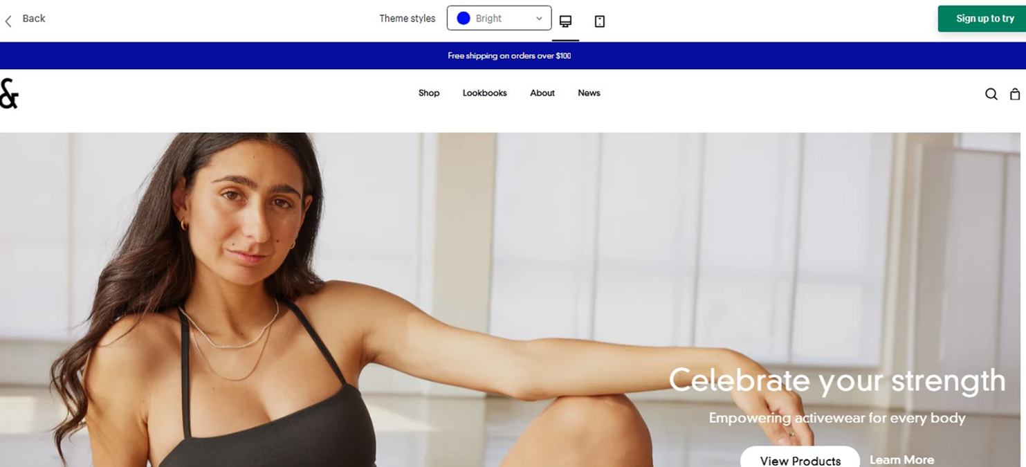 Shopify Themes Story